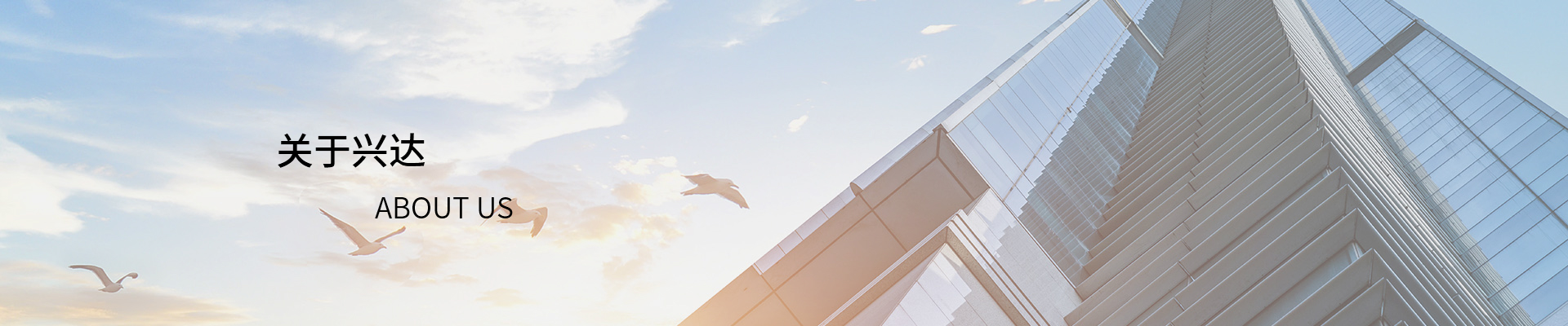 粉尘滤芯,过滤滤芯,除尘器滤芯,除尘滤芯,覆膜滤芯,阻燃滤芯,空气滤芯